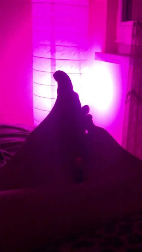 lola haze (@queenofscartown) • Instagram photos and videos.